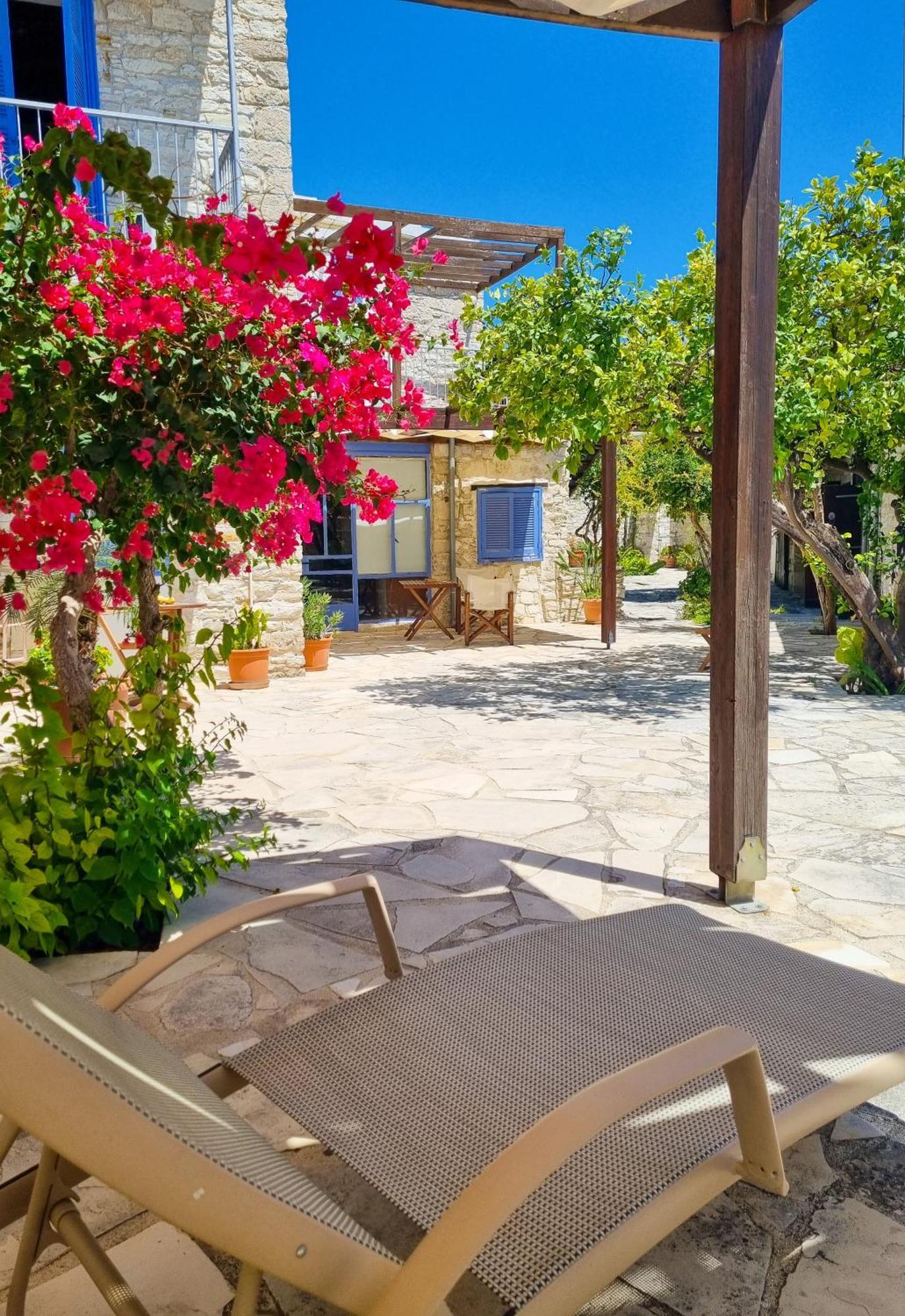 Athena'S Pool Oasis Apartment Skarinou Екстериор снимка