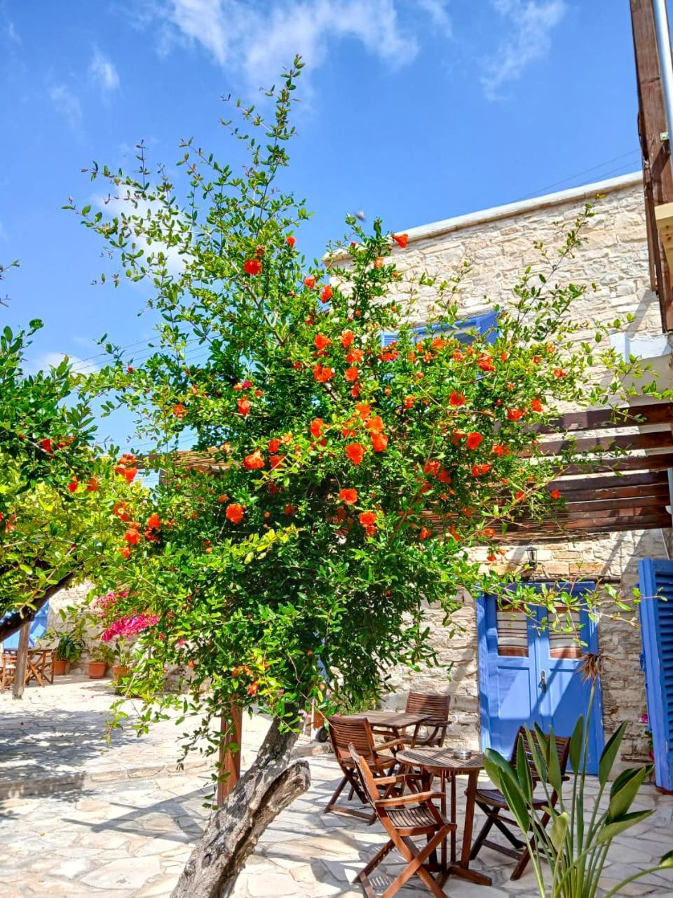 Athena'S Pool Oasis Apartment Skarinou Екстериор снимка