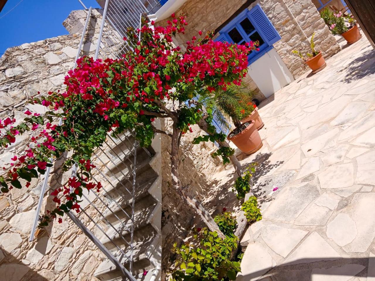 Athena'S Pool Oasis Apartment Skarinou Екстериор снимка